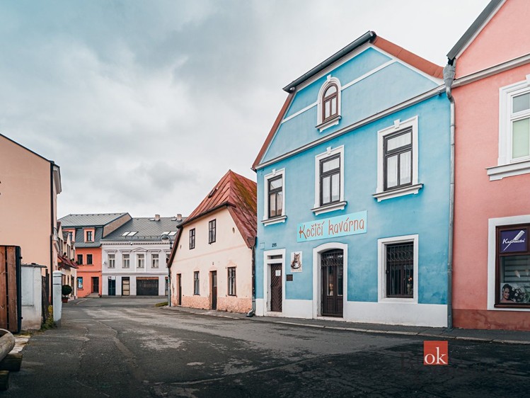Prodej obchodního prostoru 168 m² - foto 1