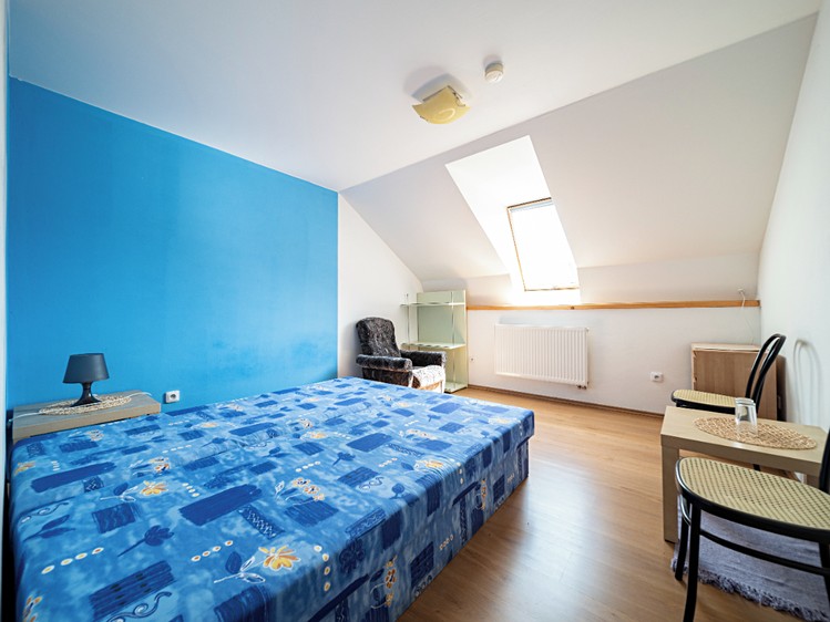 Prodej obchodního prostoru 500 m² - foto 4