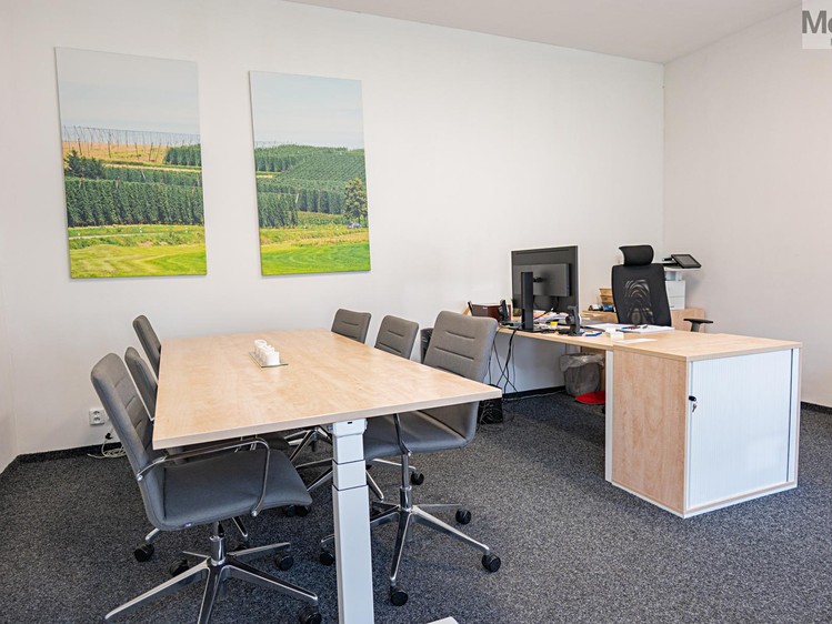 Prodej skladového prostoru 6 000 m² - foto 4