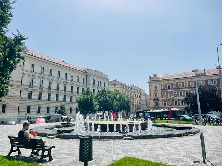 Prodej činžovního domu 2 000 m² - foto 4