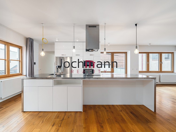 Prodej obchodního prostoru 746 m² - foto 4