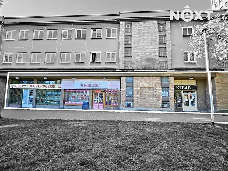 Prodej obchodního prostoru 293 m² - foto 3