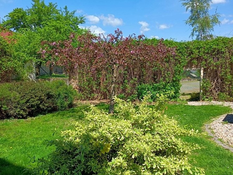 Prodej ubytovacího zařízení 700 m² - foto 4