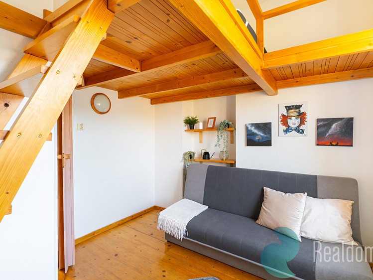 Prodej činžovního domu 330 m² - foto 8