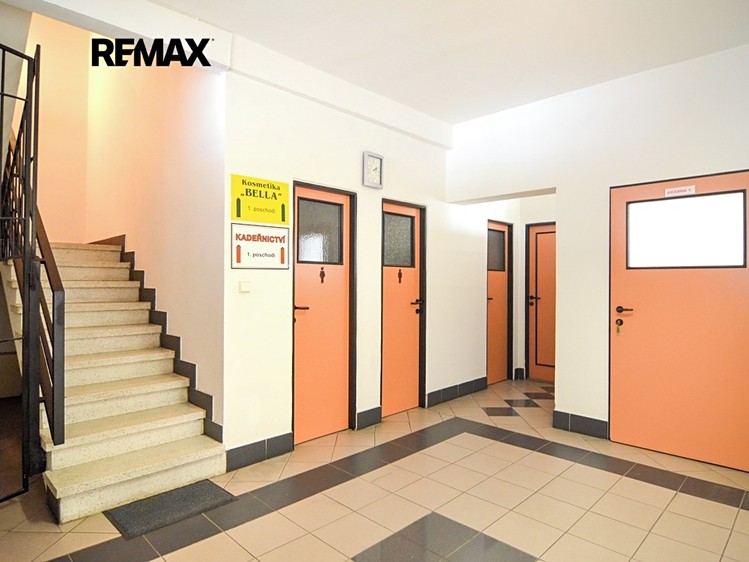 Prodej obchodního prostoru 318 m² - foto 6