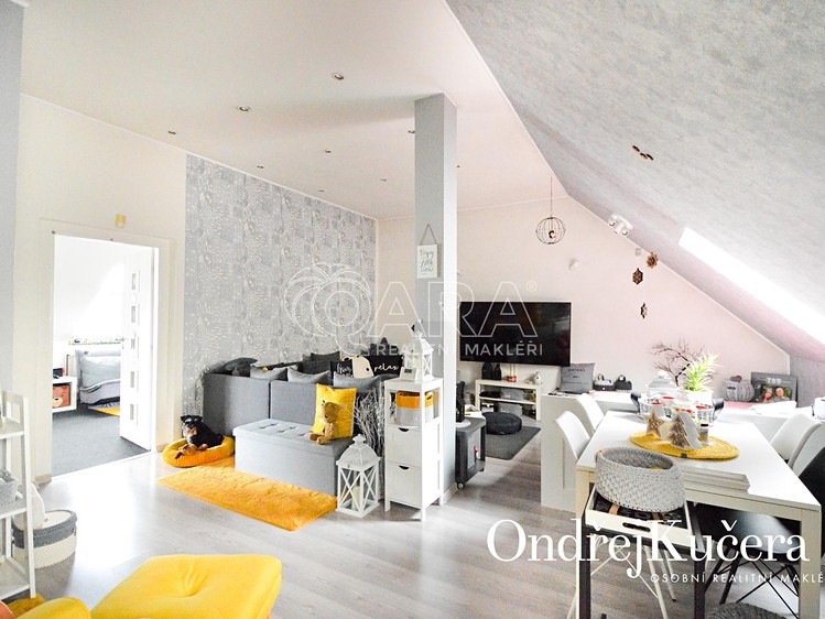 Prodej činžovního domu 222 m² - foto 8