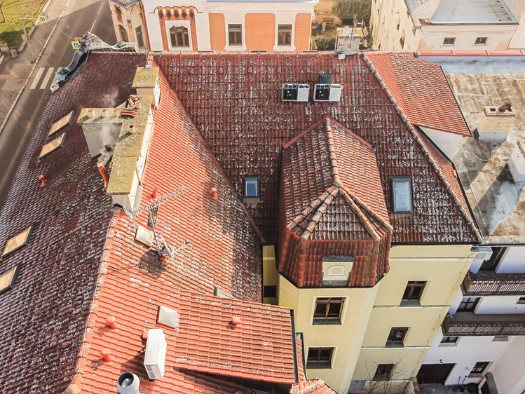 Prodej obchodního prostoru 800 m² - foto 4