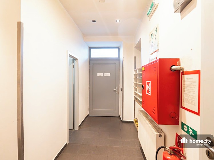 Prodej činžovního domu 300 m² - foto 7