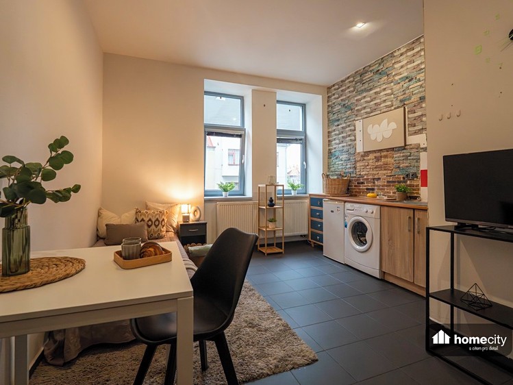 Prodej činžovního domu 300 m² - foto 8