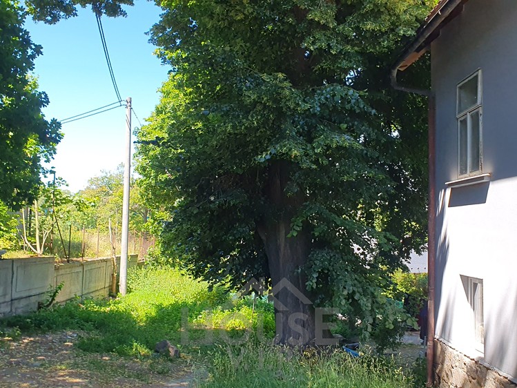 Prodej činžovního domu 285 m² - foto 8