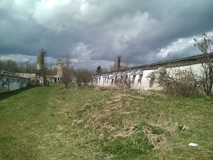Prodej výrobní haly, prostoru 4 000 m² - foto 4