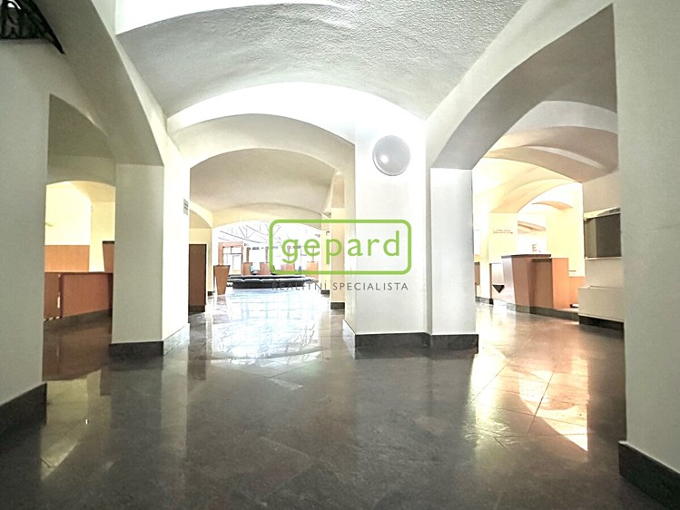 Prodej obchodního prostoru 4 666 m² - foto 4