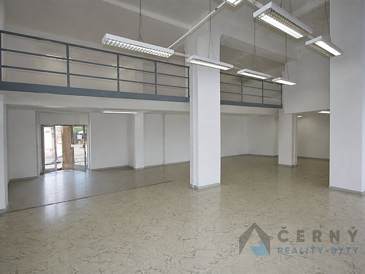 Prodej obchodního prostoru 266 m² - foto 3
