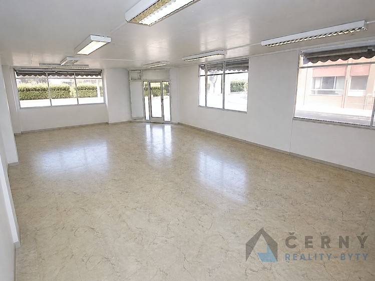 Prodej obchodního prostoru 266 m² - foto 2