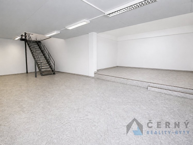Prodej obchodního prostoru 266 m² - foto 8
