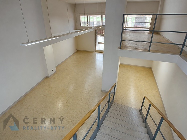 Prodej obchodního prostoru 266 m² - foto 5