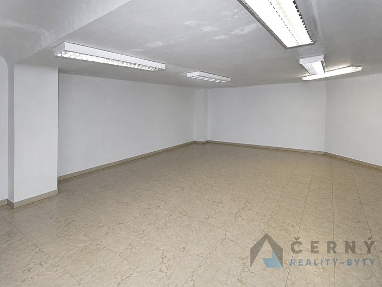 Prodej obchodního prostoru 266 m² - foto 6