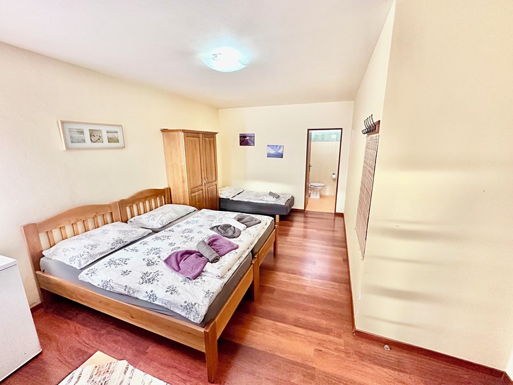 Prodej ubytovacího zařízení 334 m² - foto 8