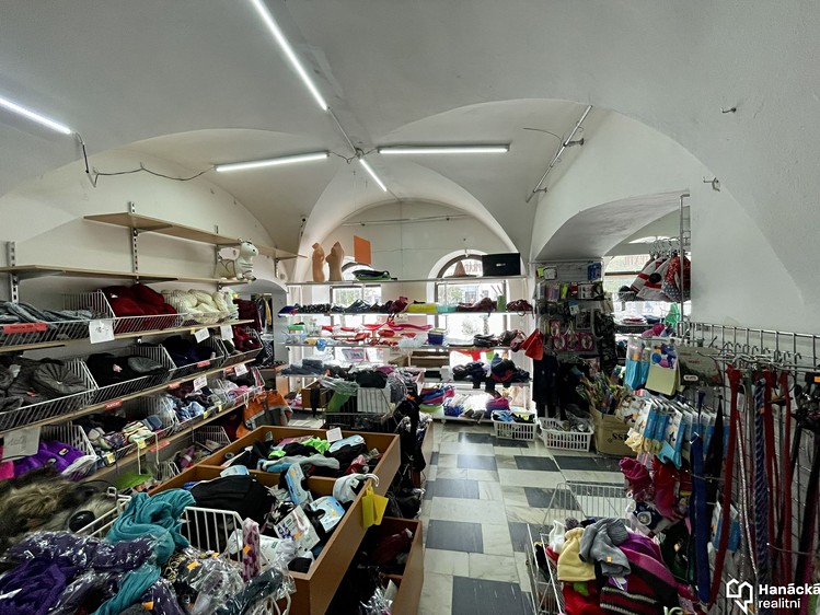 Prodej obchodního prostoru 769 m² - foto 4