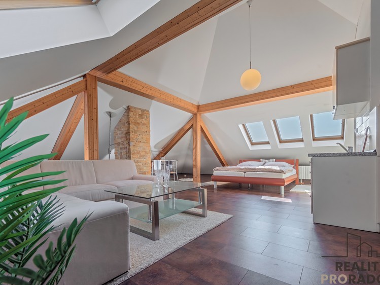 Prodej ubytovacího zařízení 405 m² - foto 8
