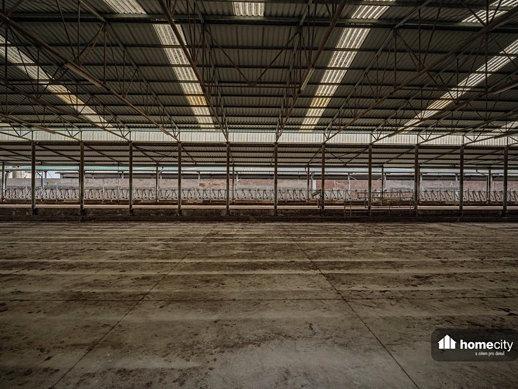 Prodej zemědělského objektu 38 087 m² - foto 8