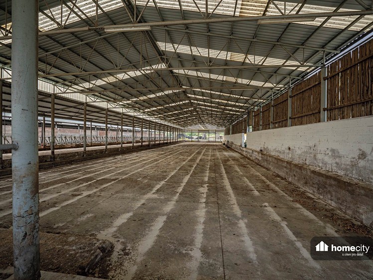 Prodej zemědělského objektu 38 087 m² - foto 6