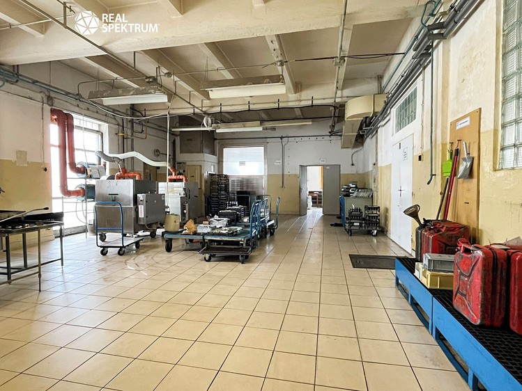 Prodej výrobní haly, prostoru 10 000 m² - foto 4