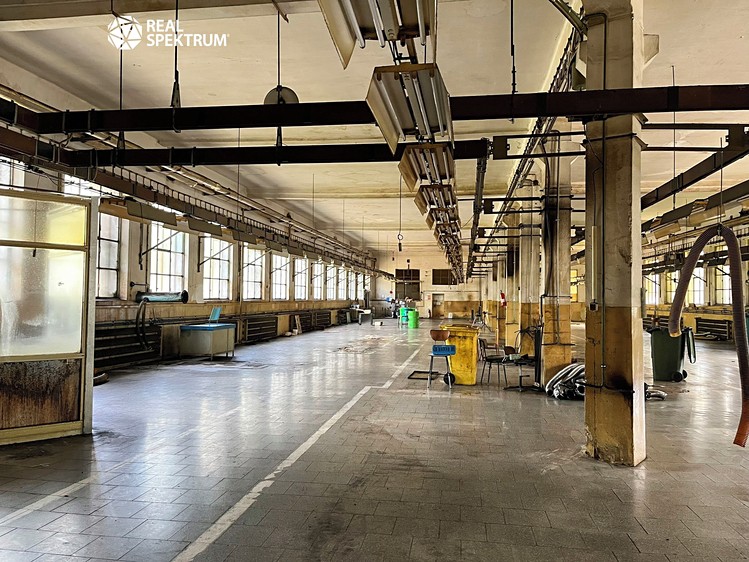 Prodej výrobní haly, prostoru 10 000 m² - foto 5