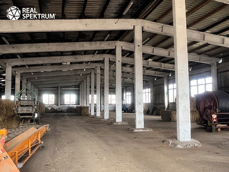 Prodej výrobní haly, prostoru 5 000 m² - foto 4