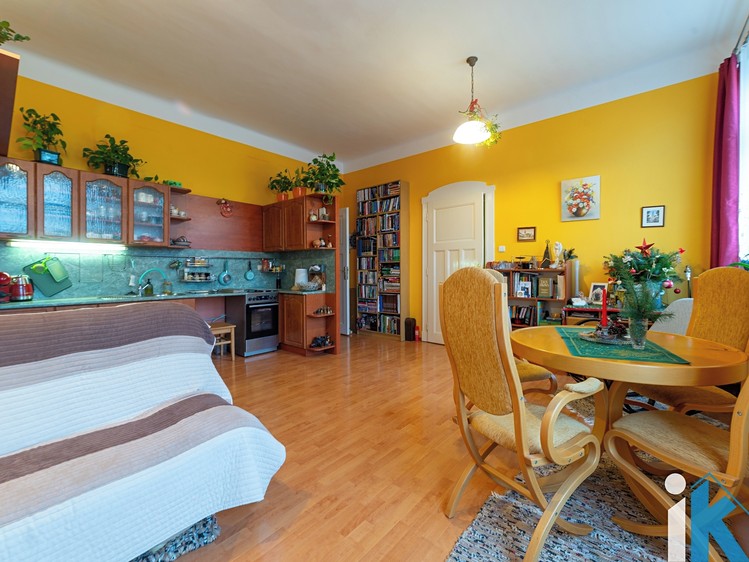 Prodej činžovního domu 550 m² - foto 5