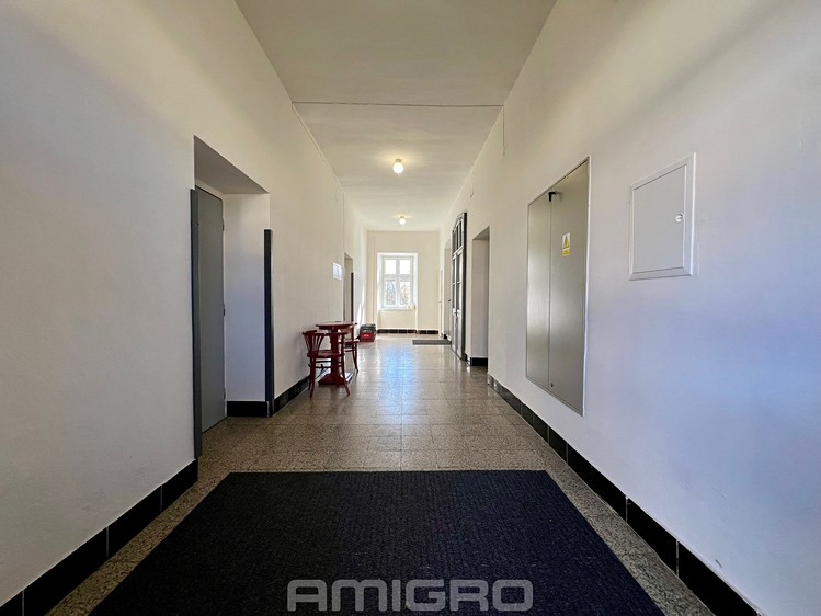 Prodej činžovního domu 1 000 m² - foto 8
