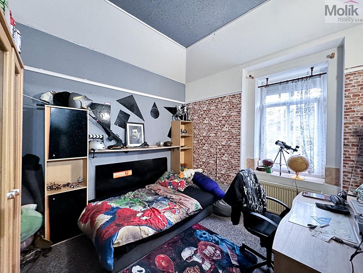 Prodej činžovního domu 340 m² - foto 6