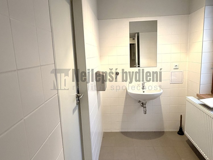Prodej obchodního prostoru 124 m² - foto 7