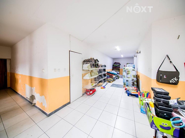 Prodej obchodního prostoru 550 m² - foto 5