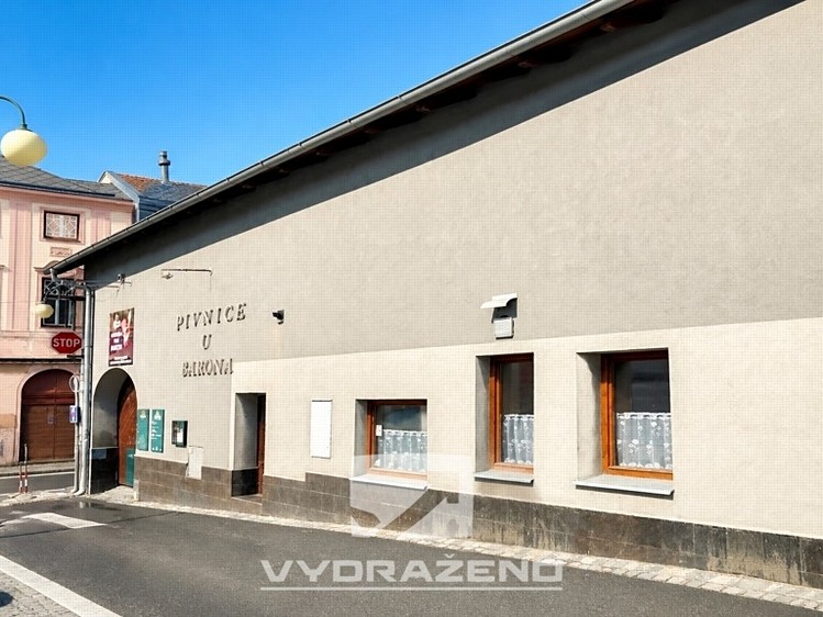 Prodej obchodního prostoru 800 m² - foto 1