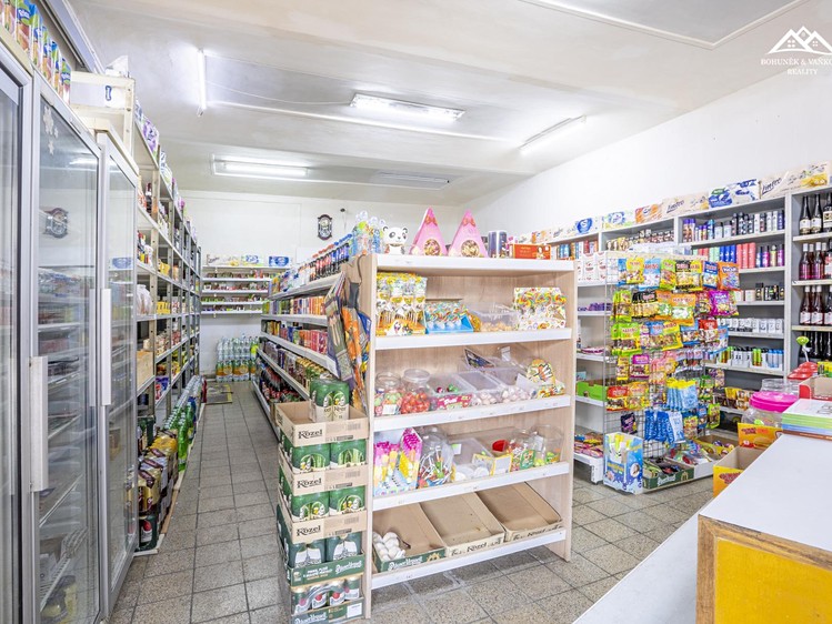 Prodej činžovního domu 580 m² - foto 4