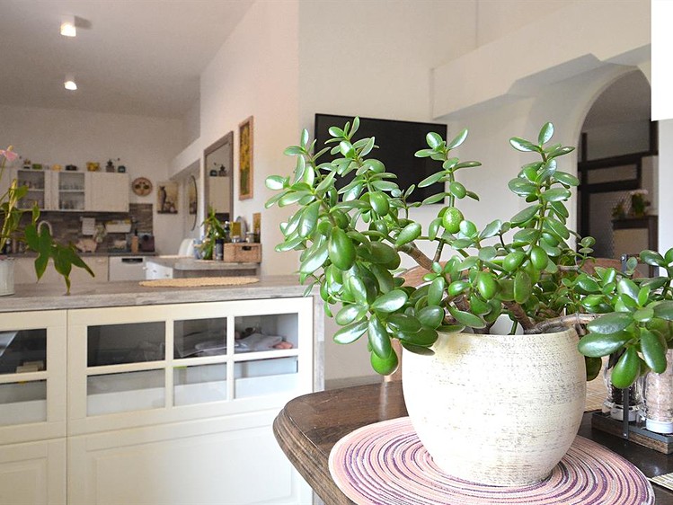 Prodej ubytovacího zařízení 662 m² - foto 3