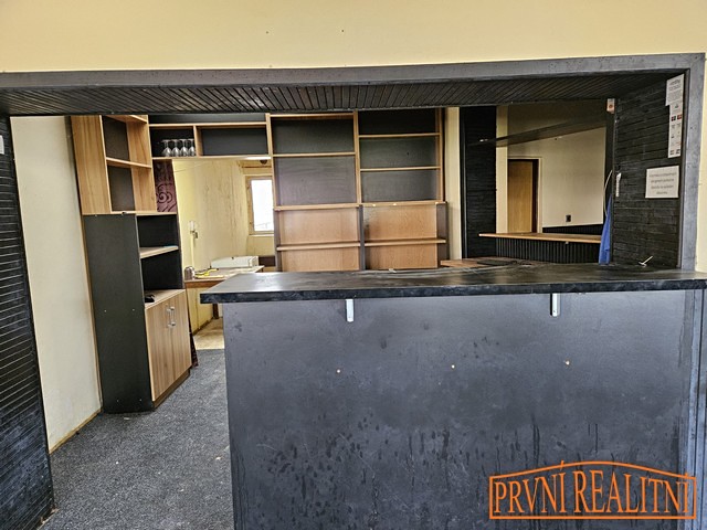 Prodej obchodního prostoru 263 m² - foto 4