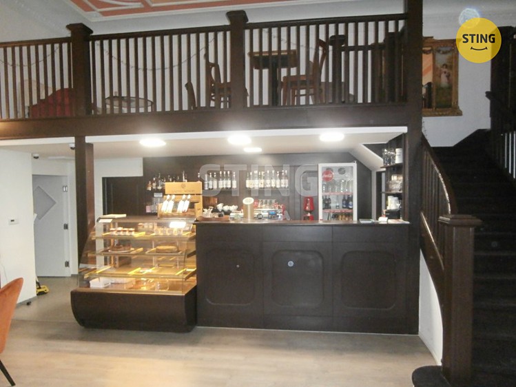 Prodej obchodního prostoru 325 m² - foto 7