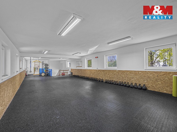 Prodej obchodního prostoru 195 m² - foto 4