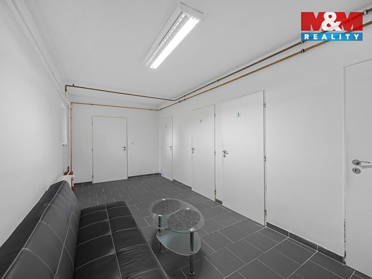 Prodej obchodního prostoru 195 m² - foto 8