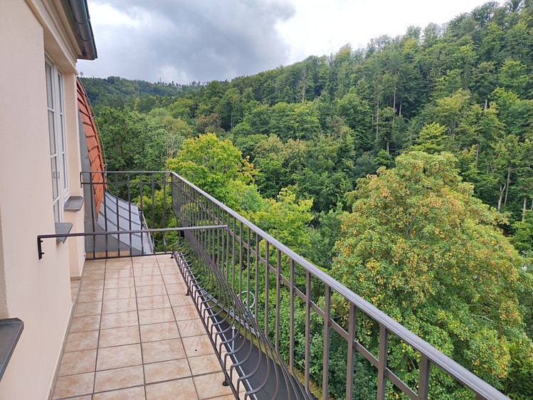 Prodej činžovního domu 570 m² - foto 3