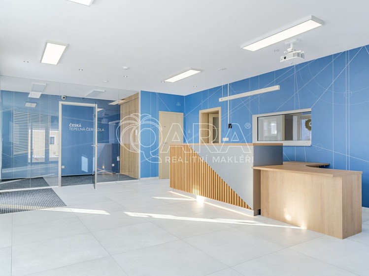 Prodej obchodního prostoru 187 m² - foto 6
