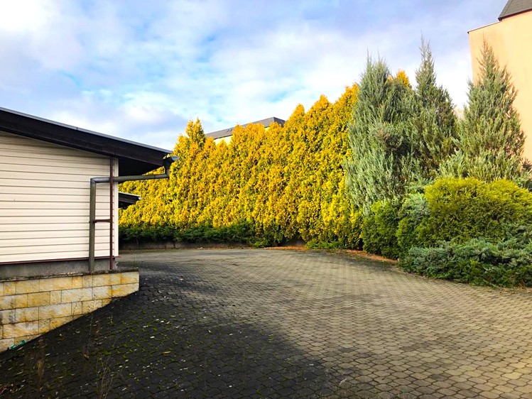 Prodej skladového prostoru 650 m² - foto 4