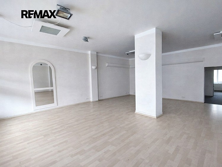 Prodej obchodního prostoru 219 m² - foto 6