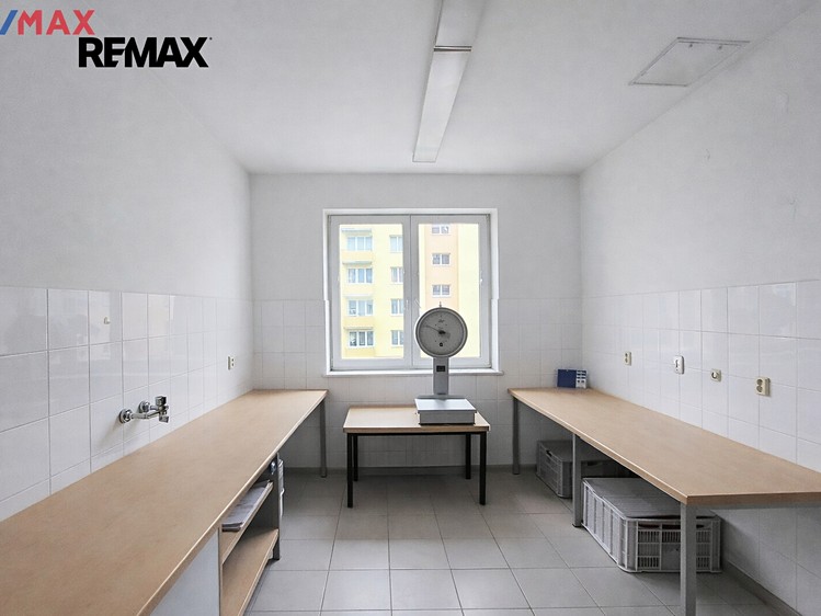 Prodej obchodního prostoru 241 m² - foto 7