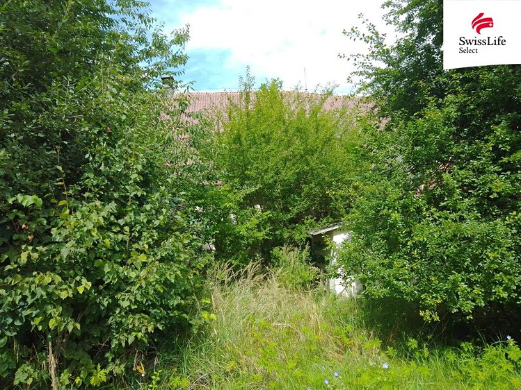 Prodej zemědělského objektu 800 m² - foto 6