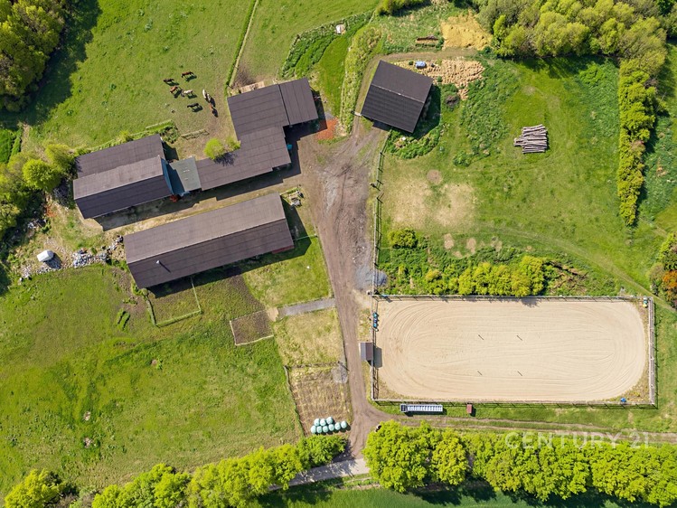 Prodej komerční nemovitosti 1 100 m² - foto 4