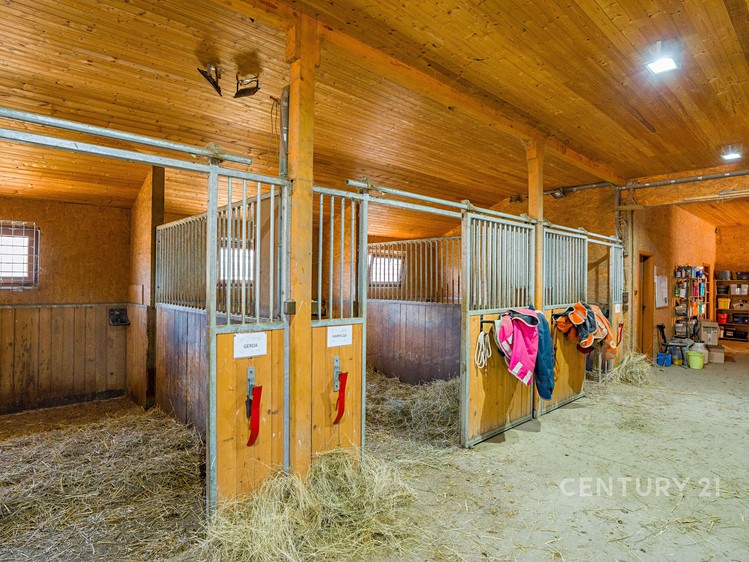 Prodej komerční nemovitosti 1 100 m² - foto 5