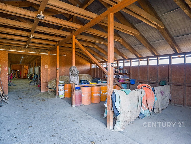Prodej komerční nemovitosti 1 100 m² - foto 7